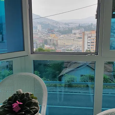 View 2 *